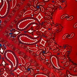 LLR Jessie Small Red Paisley